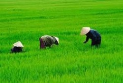 indochina tour packages